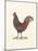 Flamboyant Cockerel-The Vintage Collection-Mounted Giclee Print
