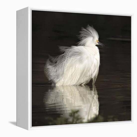 Flamboyant Flair-Wink Gaines-Framed Stretched Canvas