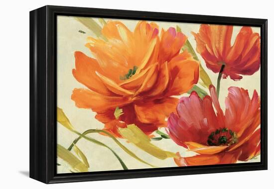 Flamboyant III-Lisa Audit-Framed Stretched Canvas