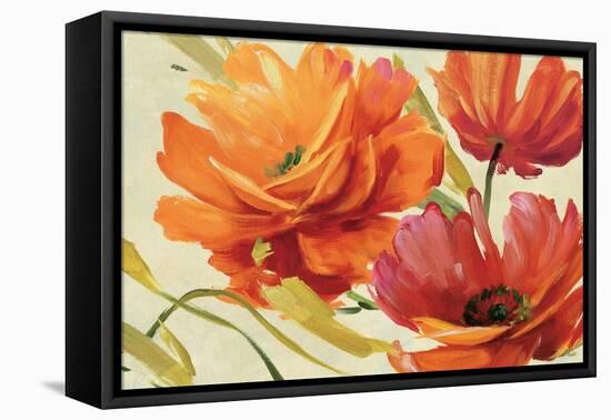 Flamboyant III-Lisa Audit-Framed Stretched Canvas