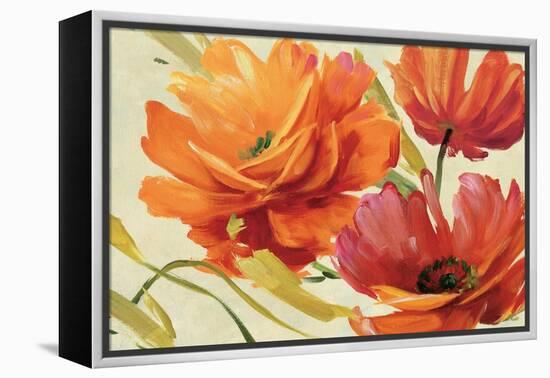 Flamboyant III-Lisa Audit-Framed Stretched Canvas