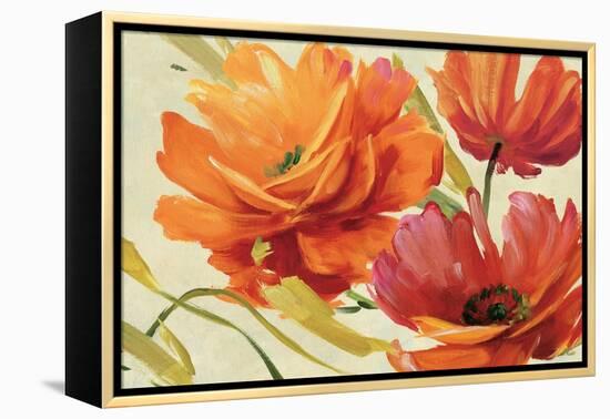 Flamboyant III-Lisa Audit-Framed Stretched Canvas