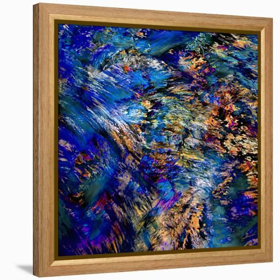 Flamboyant-Ursula Abresch-Framed Premier Image Canvas