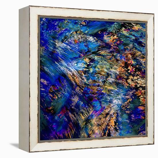 Flamboyant-Ursula Abresch-Framed Premier Image Canvas