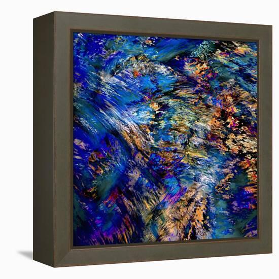 Flamboyant-Ursula Abresch-Framed Premier Image Canvas