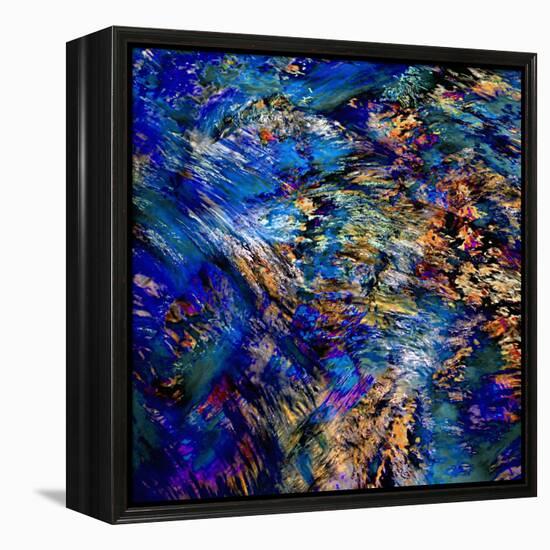 Flamboyant-Ursula Abresch-Framed Premier Image Canvas