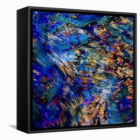 Flamboyant-Ursula Abresch-Framed Premier Image Canvas