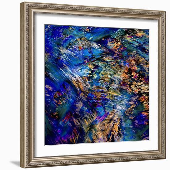 Flamboyant-Ursula Abresch-Framed Photographic Print