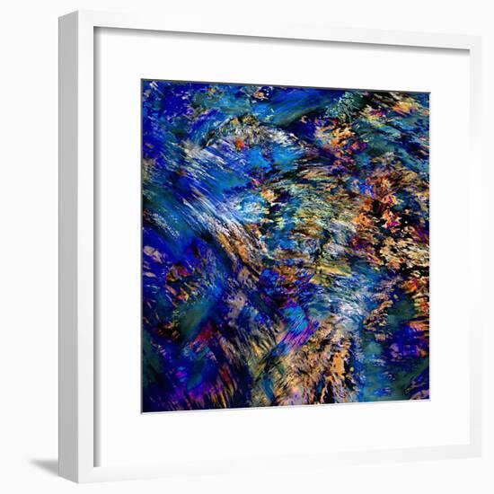 Flamboyant-Ursula Abresch-Framed Photographic Print