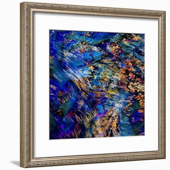 Flamboyant-Ursula Abresch-Framed Photographic Print