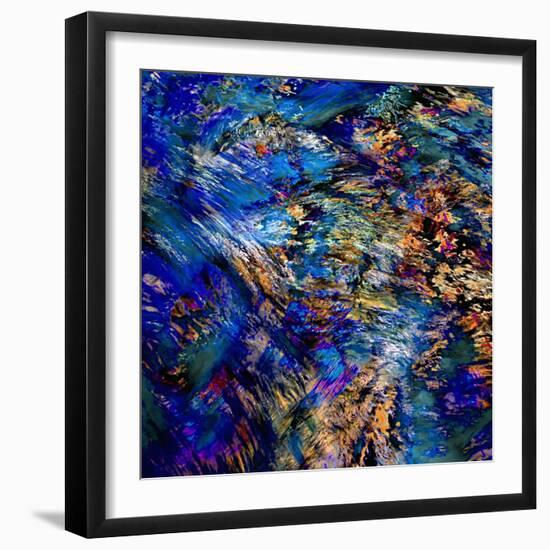 Flamboyant-Ursula Abresch-Framed Photographic Print