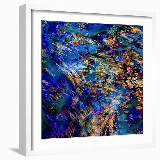 Flamboyant-Ursula Abresch-Framed Photographic Print