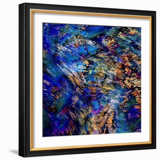 Flamboyant-Ursula Abresch-Framed Photographic Print