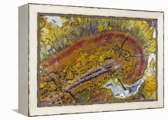 Flame Agate, Sammamish, WA-Darrell Gulin-Framed Premier Image Canvas