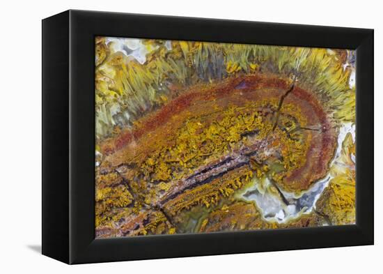 Flame Agate, Sammamish, WA-Darrell Gulin-Framed Premier Image Canvas