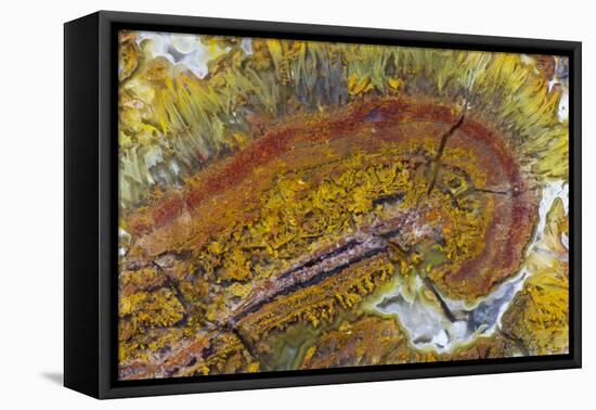 Flame Agate, Sammamish, WA-Darrell Gulin-Framed Premier Image Canvas