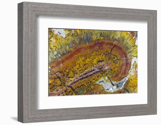 Flame Agate, Sammamish, WA-Darrell Gulin-Framed Photographic Print