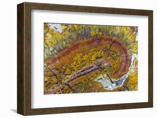 Flame Agate, Sammamish, WA-Darrell Gulin-Framed Photographic Print