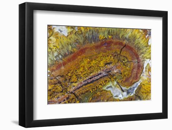 Flame Agate, Sammamish, WA-Darrell Gulin-Framed Photographic Print