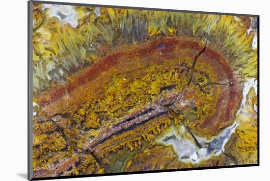 Flame Agate, Sammamish, WA-Darrell Gulin-Mounted Photographic Print