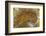 Flame Agate, Sammamish, WA-Darrell Gulin-Framed Photographic Print