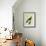 Flame-Colored Tanager-Georges-Louis Buffon-Framed Giclee Print displayed on a wall