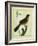 Flame-Colored Tanager-Georges-Louis Buffon-Framed Giclee Print