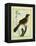 Flame-Colored Tanager-Georges-Louis Buffon-Framed Premier Image Canvas