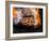 Flame Grilled Burgers on the Grill-Dean Sanderson-Framed Photographic Print