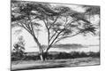 Photographic Print