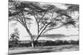 Photographic Print