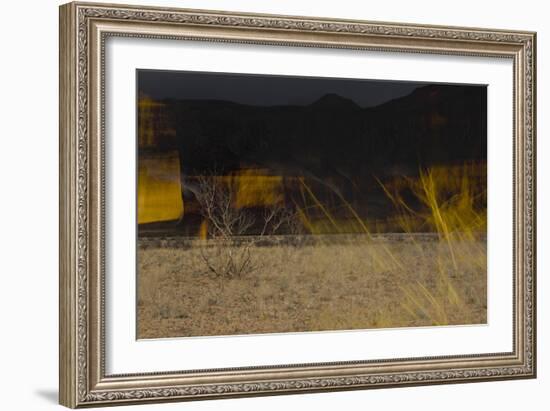 Flame Trees, Namibia-Valda Bailey-Framed Photographic Print