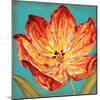 Flame Tulip II-Karen Leibrick-Mounted Art Print