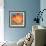 Flame Tulip II-Karen Leibrick-Framed Art Print displayed on a wall