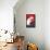 Flamenco Dancer, Polar Bear-null-Framed Stretched Canvas displayed on a wall