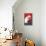 Flamenco Dancer, Polar Bear-null-Framed Stretched Canvas displayed on a wall