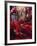 Flamenco Dancer, Seville, Andalucia, Spain-Peter Adams-Framed Photographic Print