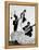 Flamenco Dancer-null-Framed Premier Image Canvas