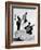 Flamenco Dancer-null-Framed Photographic Print