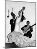 Flamenco Dancer-null-Mounted Photographic Print