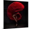 Flamenco Dancer-conrado-Mounted Photographic Print
