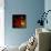 Flamenco Duotoned Chrysanthemum-Magda Indigo-Framed Premier Image Canvas displayed on a wall