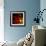 Flamenco Duotoned Chrysanthemum-Magda Indigo-Framed Photographic Print displayed on a wall