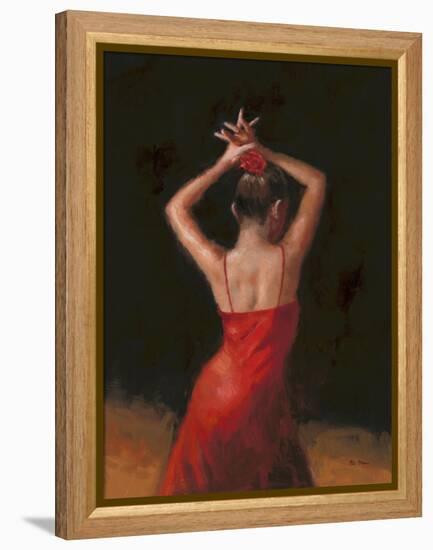 Flamenco I-Patrick Mcgannon-Framed Stretched Canvas