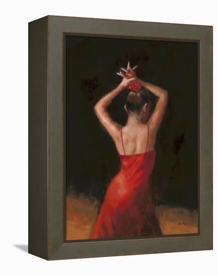 Flamenco I-Patrick Mcgannon-Framed Stretched Canvas