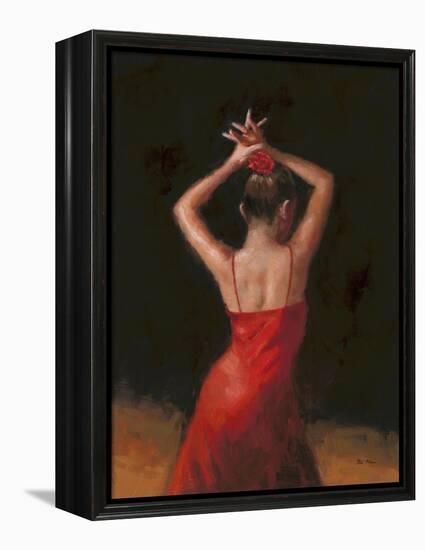 Flamenco I-Patrick Mcgannon-Framed Stretched Canvas