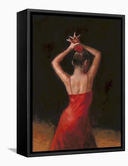 Flamenco I-Patrick Mcgannon-Framed Stretched Canvas