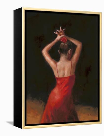 Flamenco I-Patrick Mcgannon-Framed Stretched Canvas