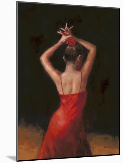 Flamenco I-Patrick Mcgannon-Mounted Art Print