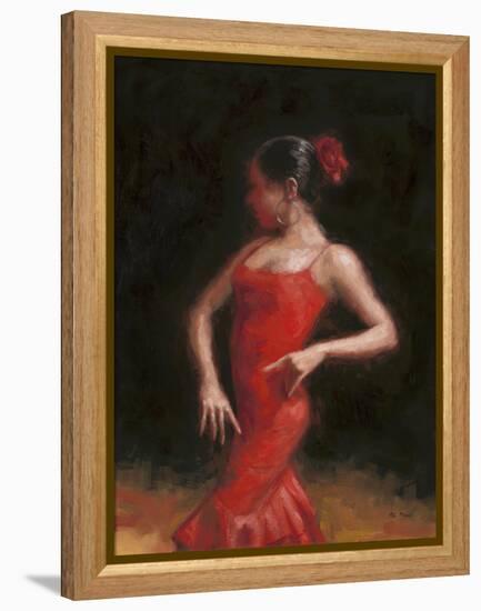 Flamenco II-Patrick Mcgannon-Framed Stretched Canvas